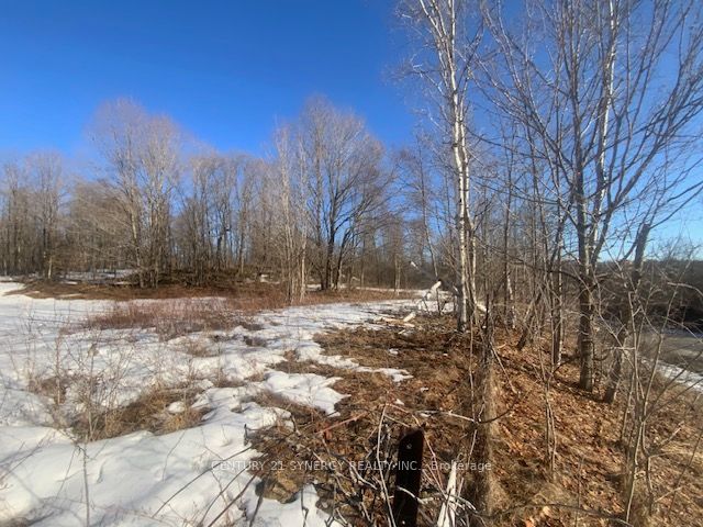 00 Lot 1 County Rd 10 Road Property Photo 6