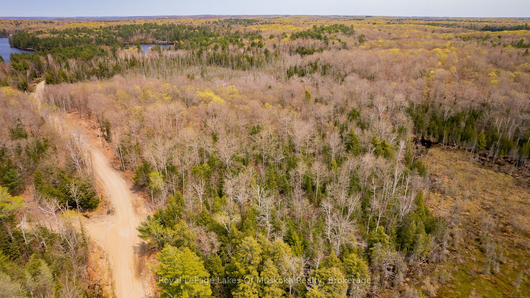 1356 Dickie Lake Road Property Photo 6