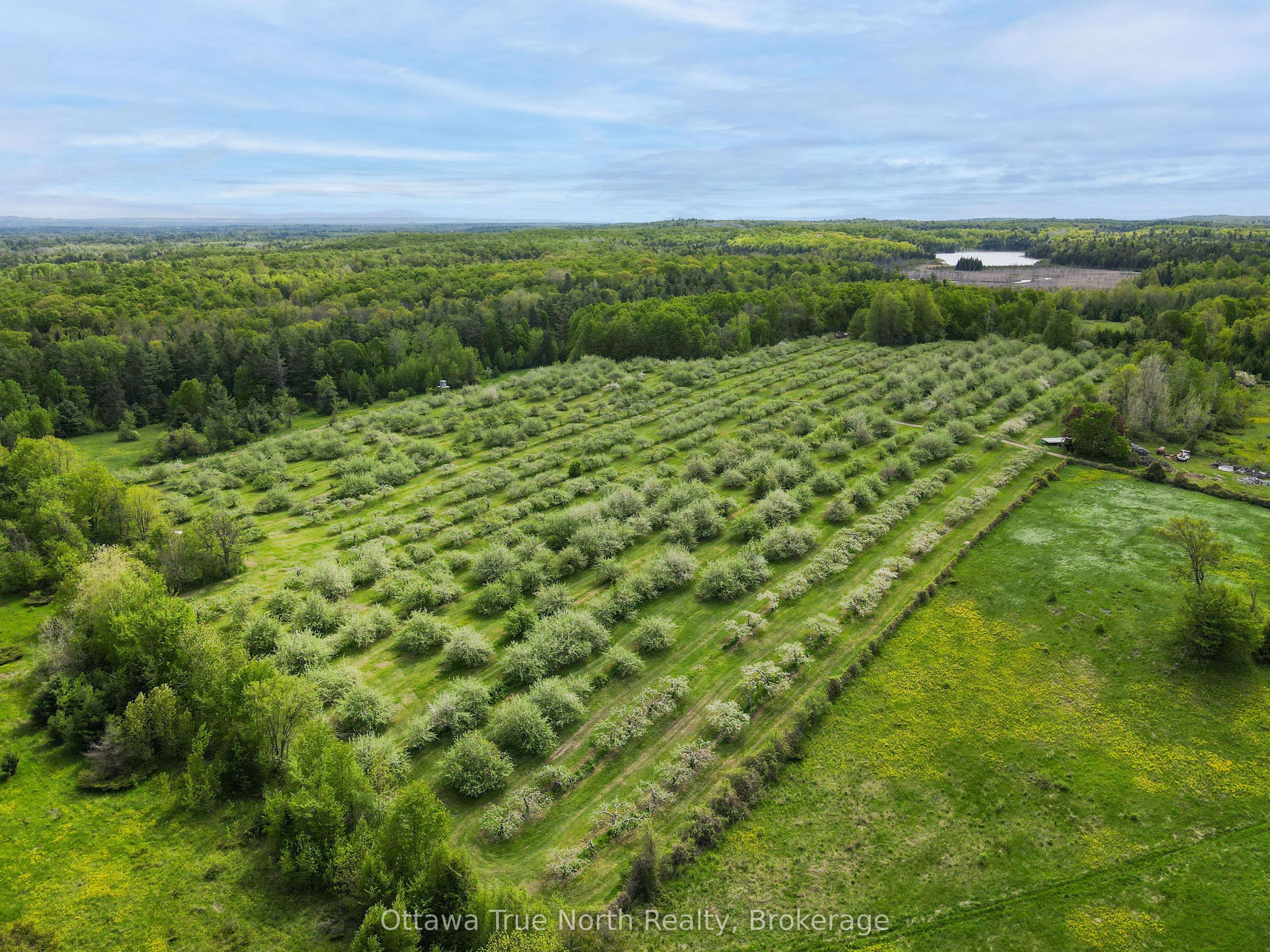 3376 Burnstown Road Property Photo 41
