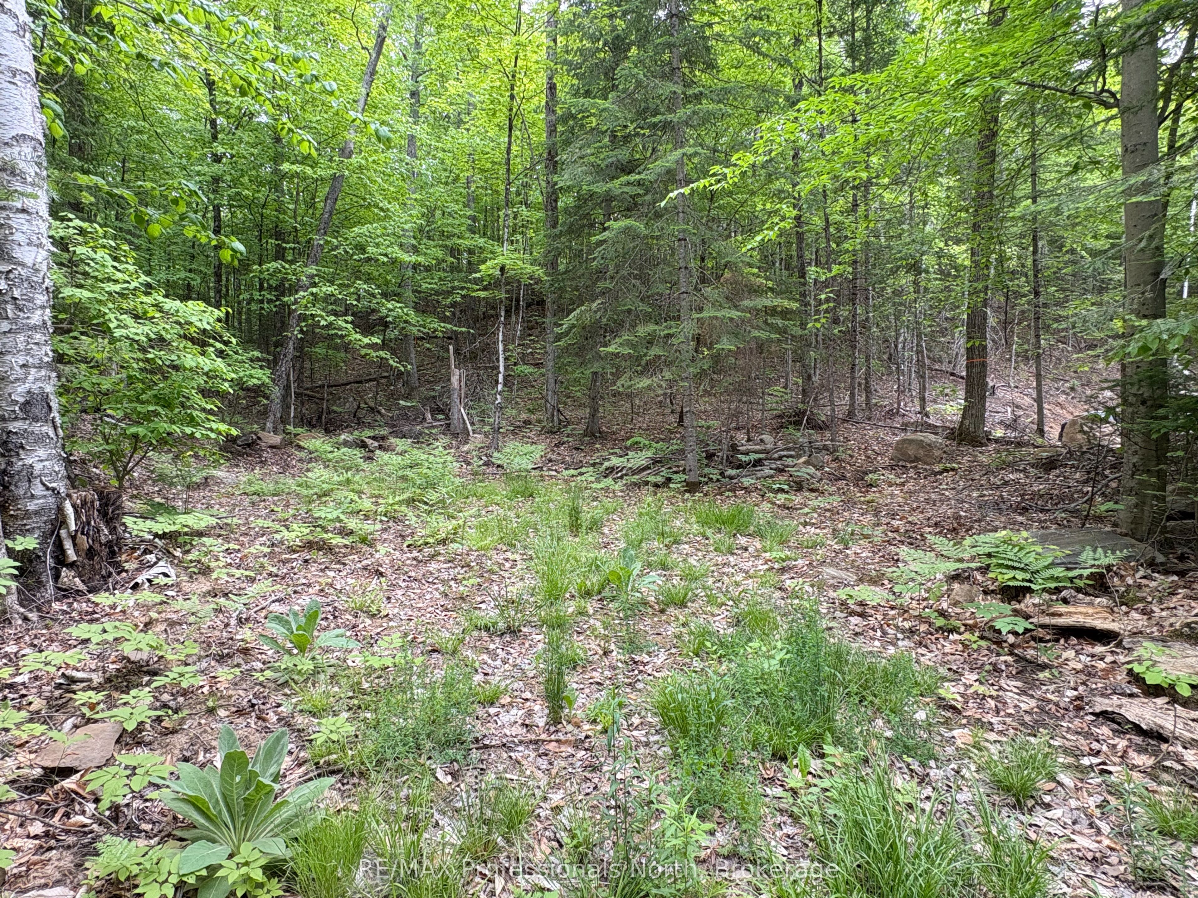 0 Poverty Bay Trail Property Photo 9