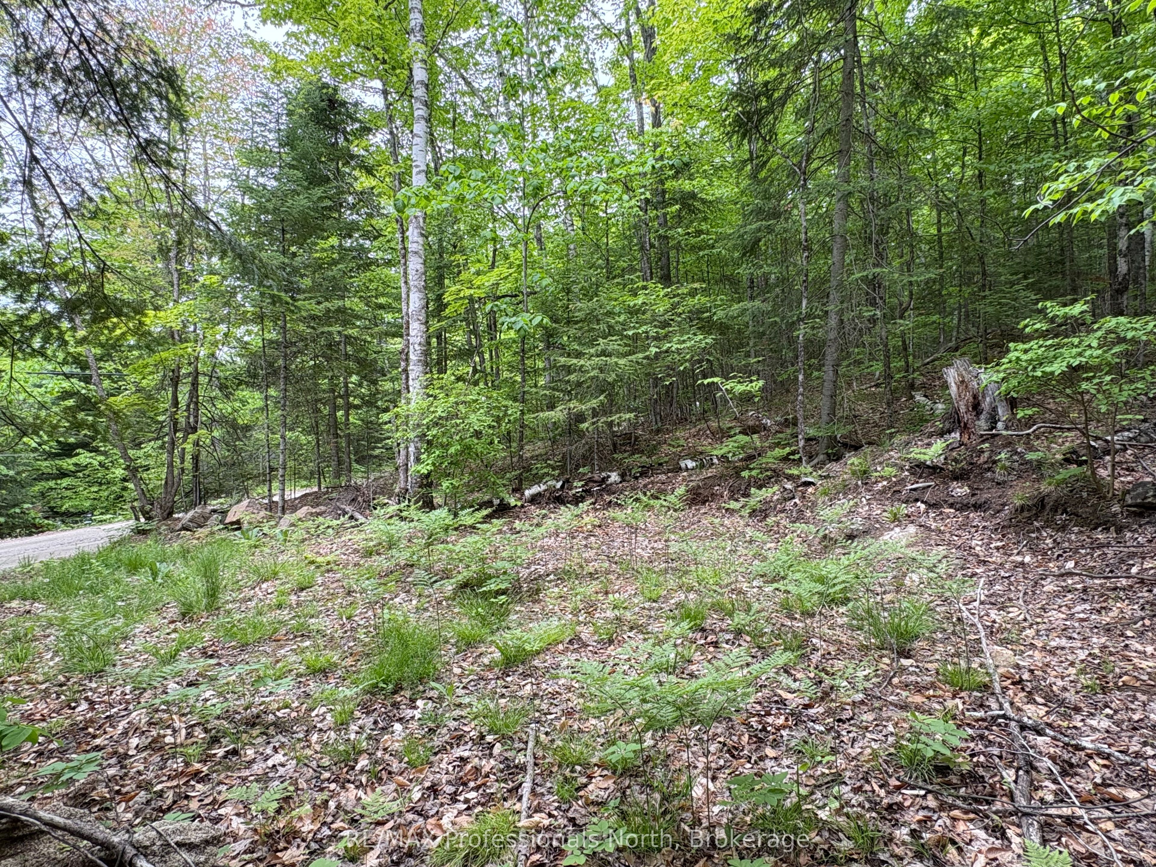 0 Poverty Bay Trail Property Photo 10