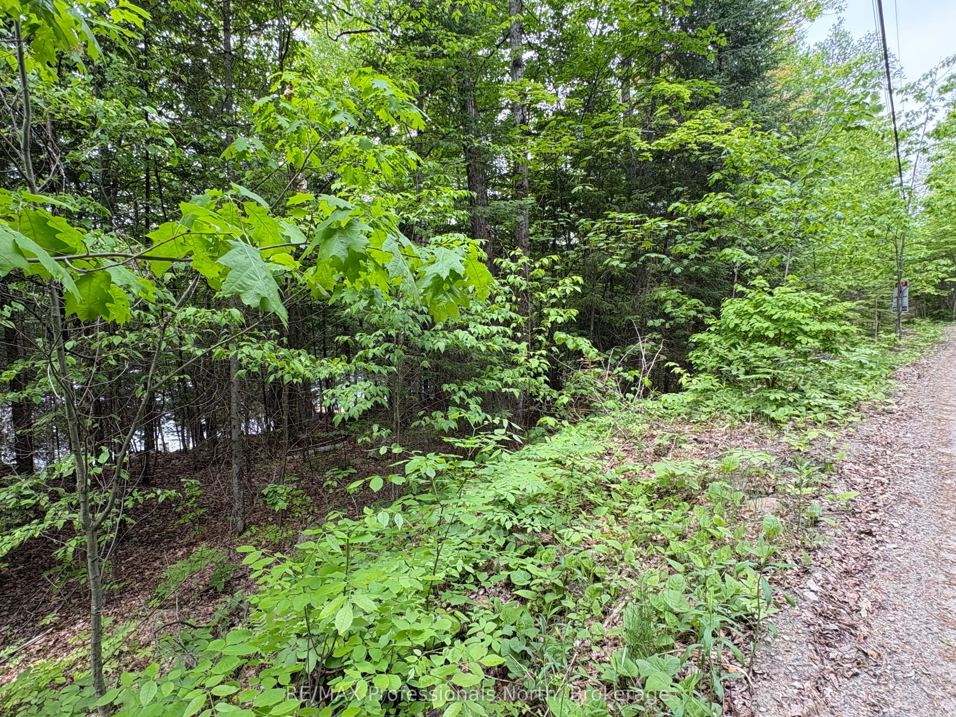 0 Poverty Bay Trail Property Photo 11
