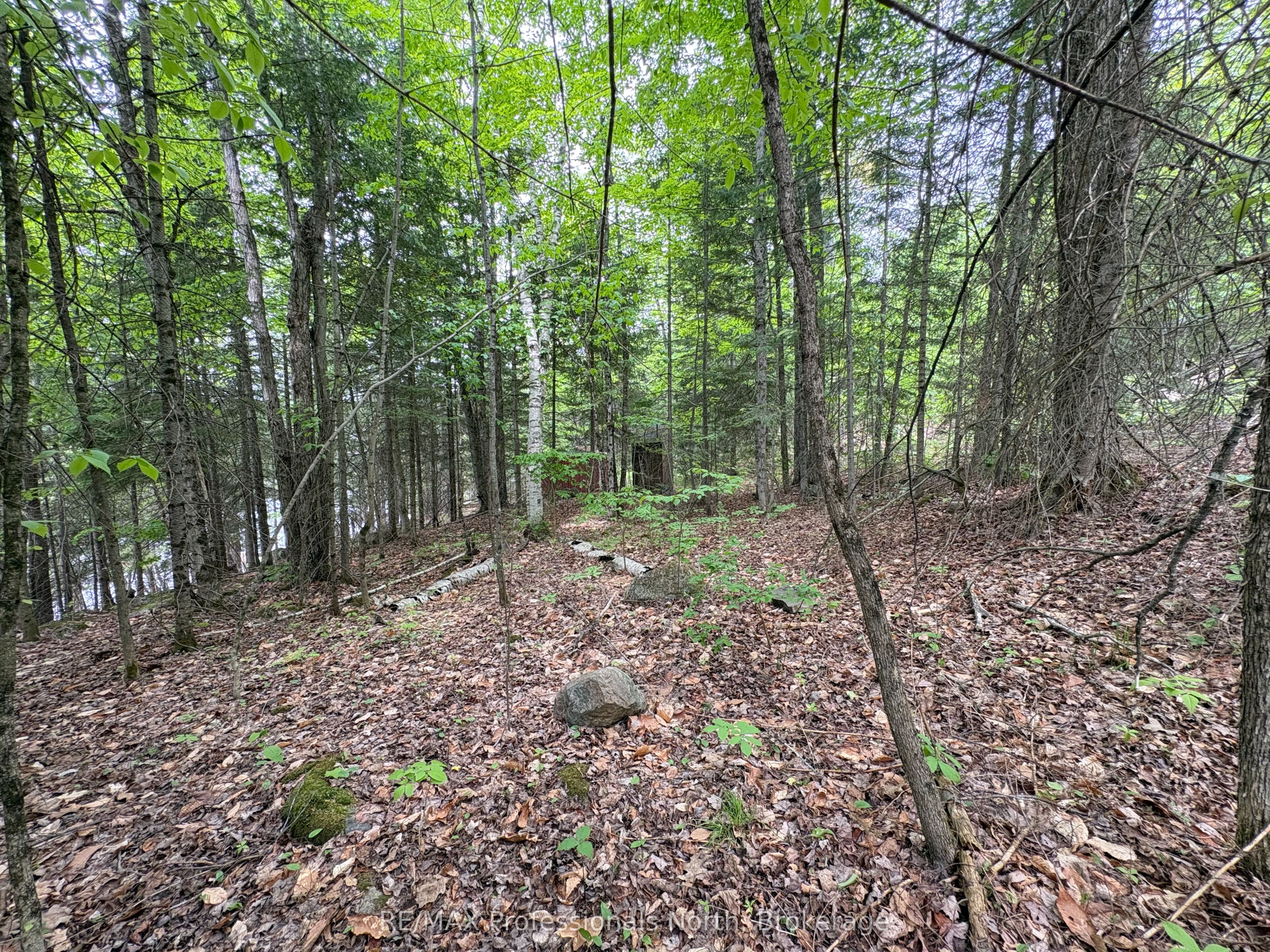 0 Poverty Bay Trail Property Photo 12