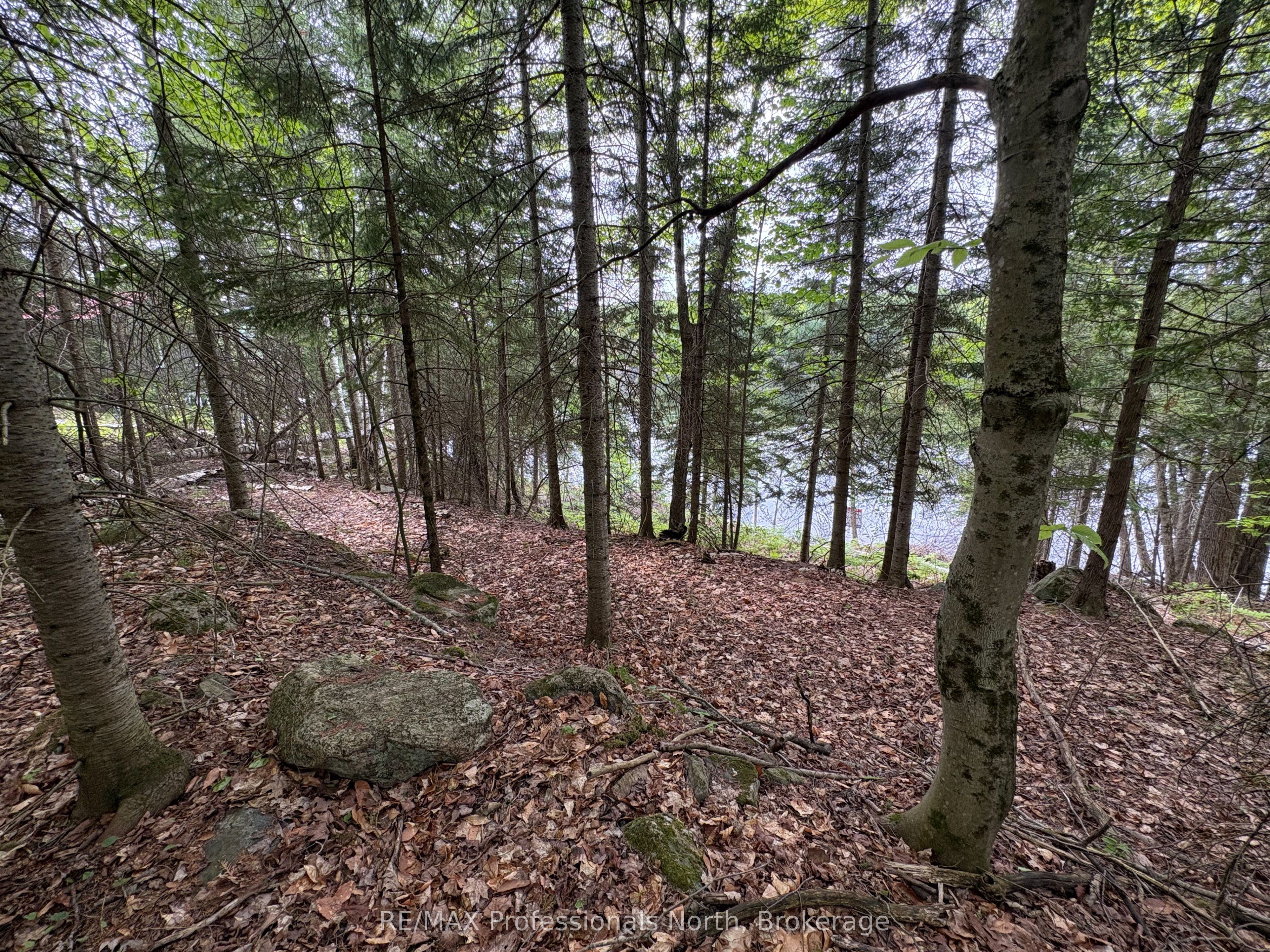 0 Poverty Bay Trail Property Photo 13