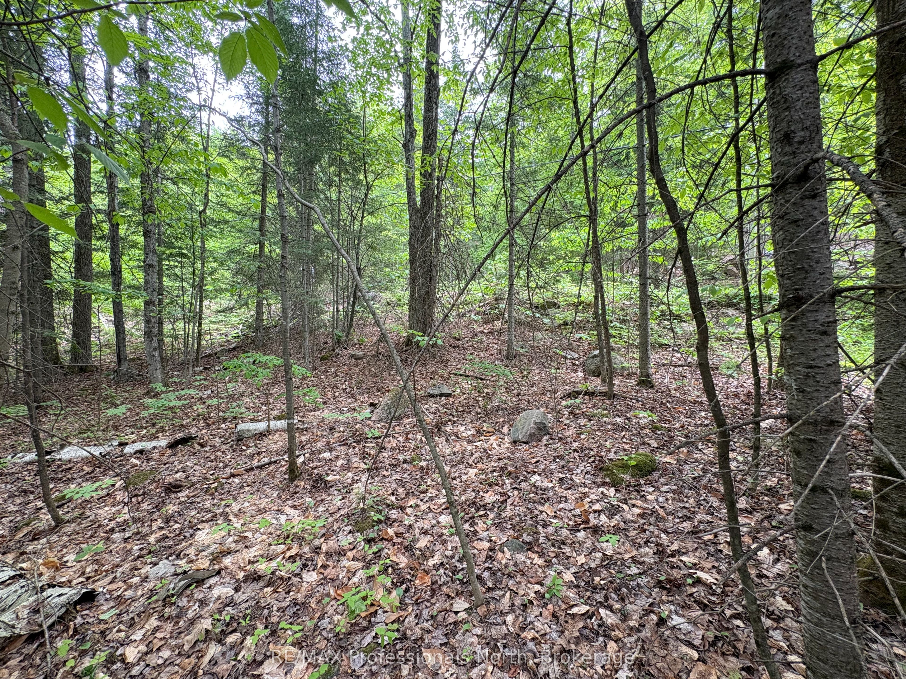 0 Poverty Bay Trail Property Photo 14