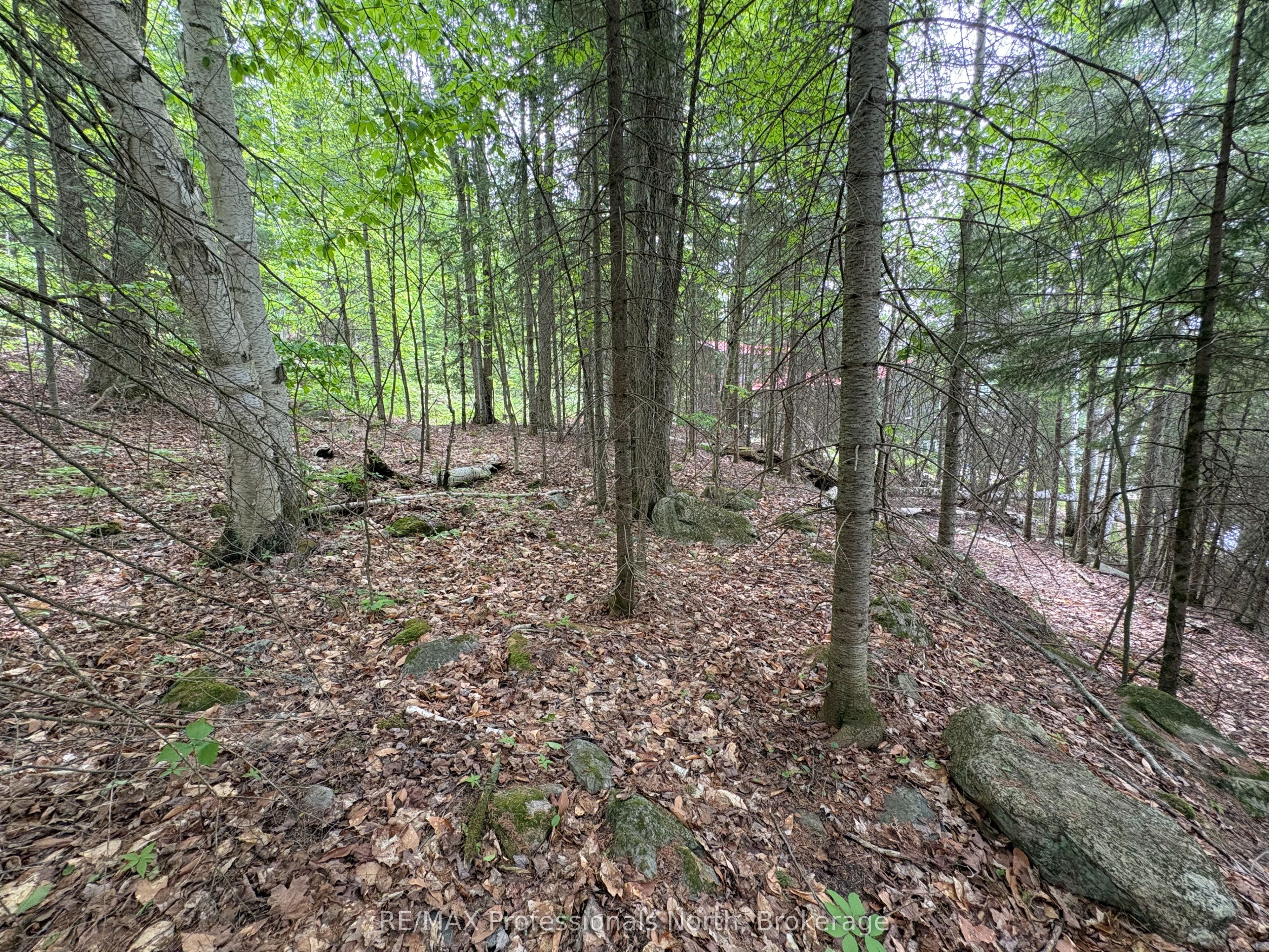 0 Poverty Bay Trail Property Photo 15