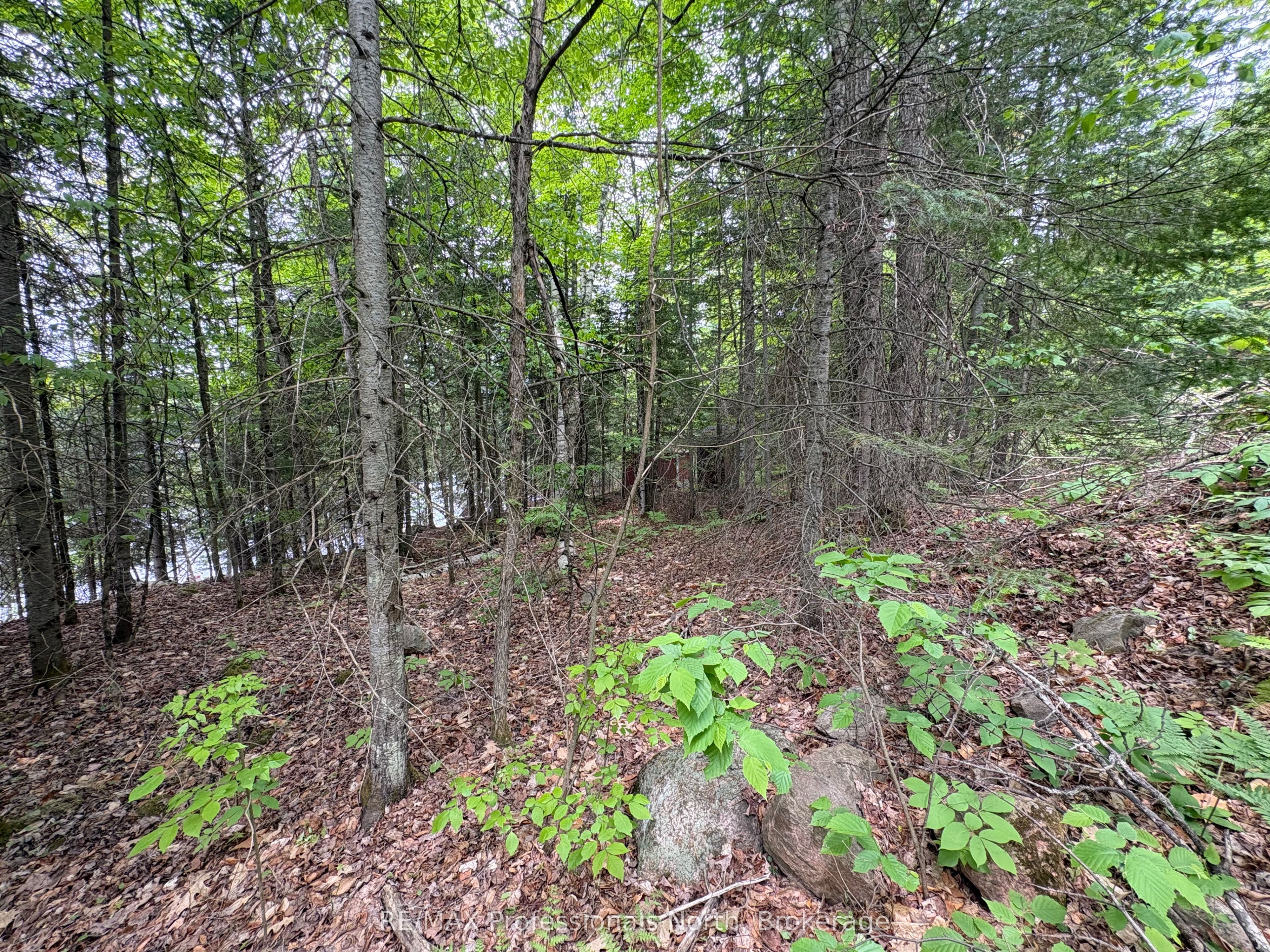 0 Poverty Bay Trail Property Photo 16