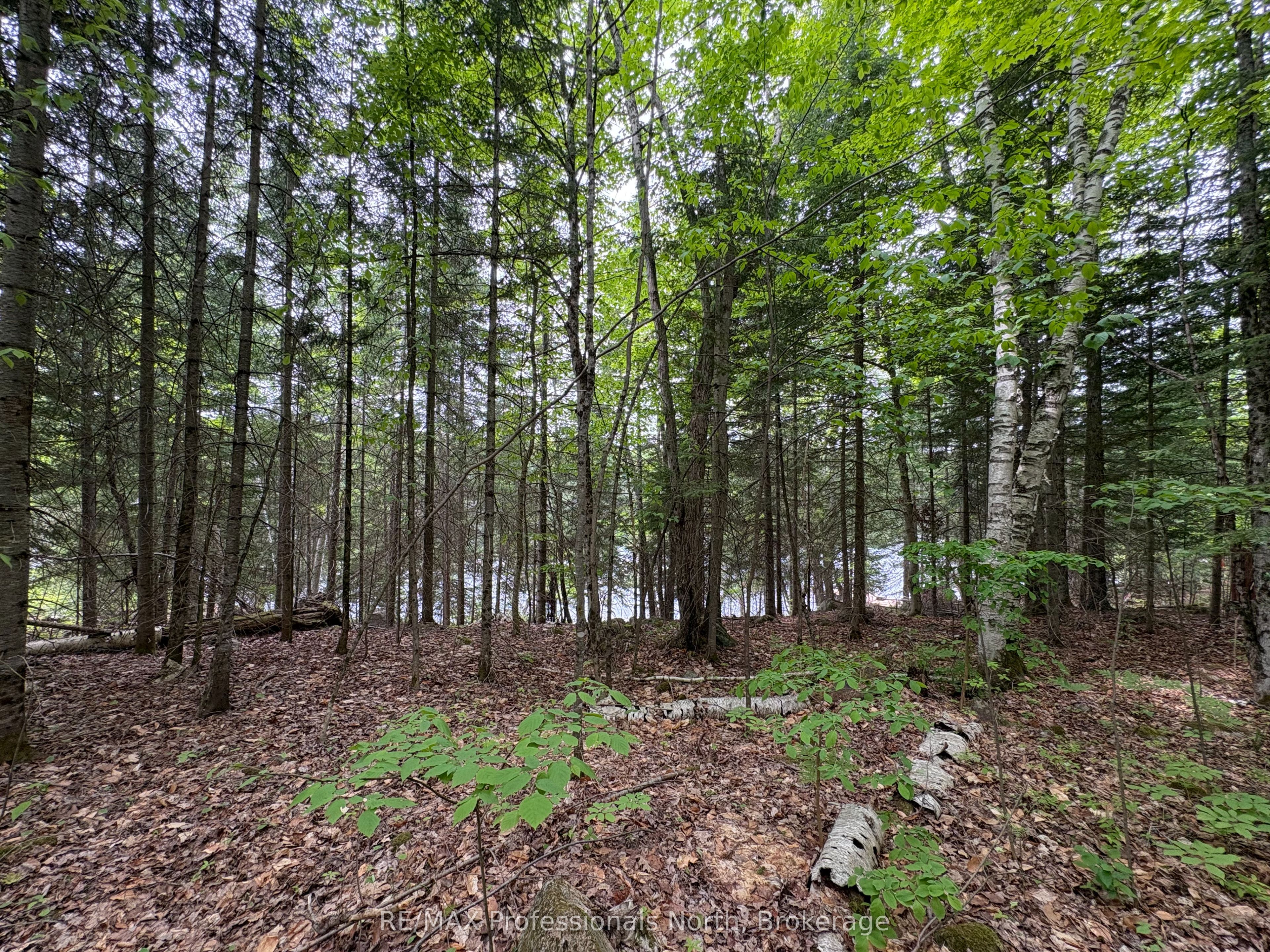 0 Poverty Bay Trail Property Photo 17