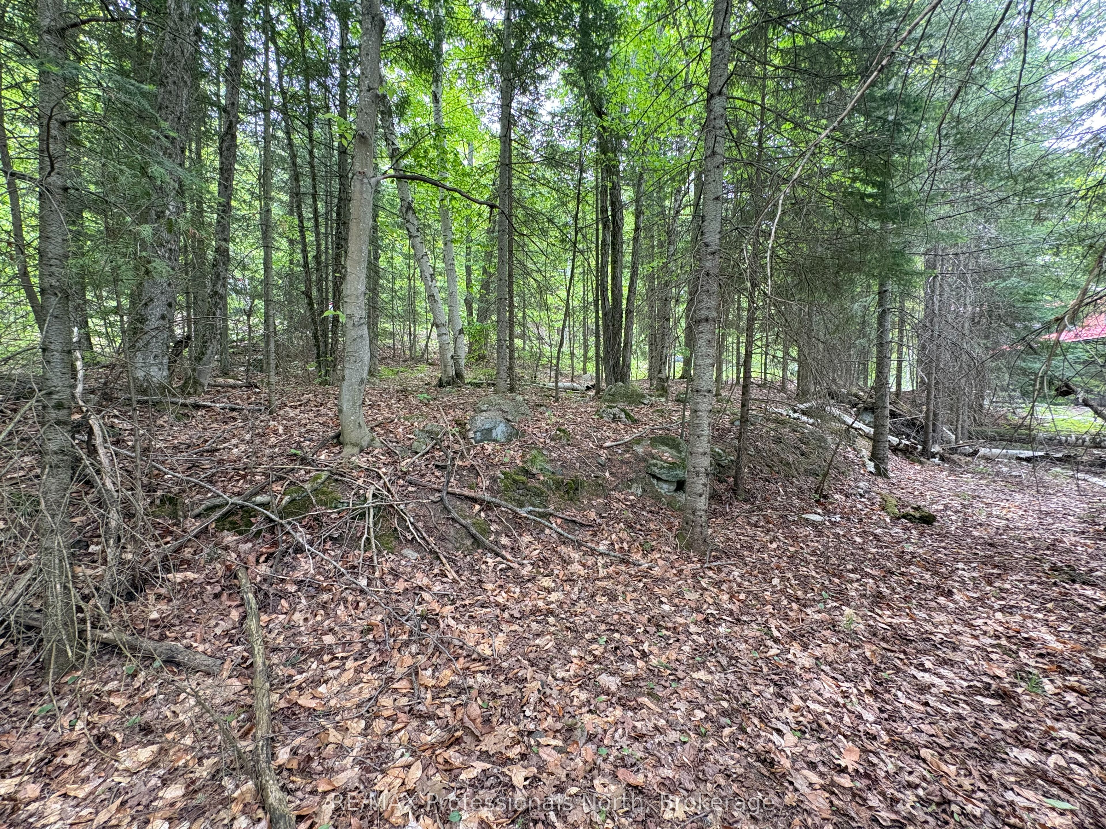 0 Poverty Bay Trail Property Photo 18