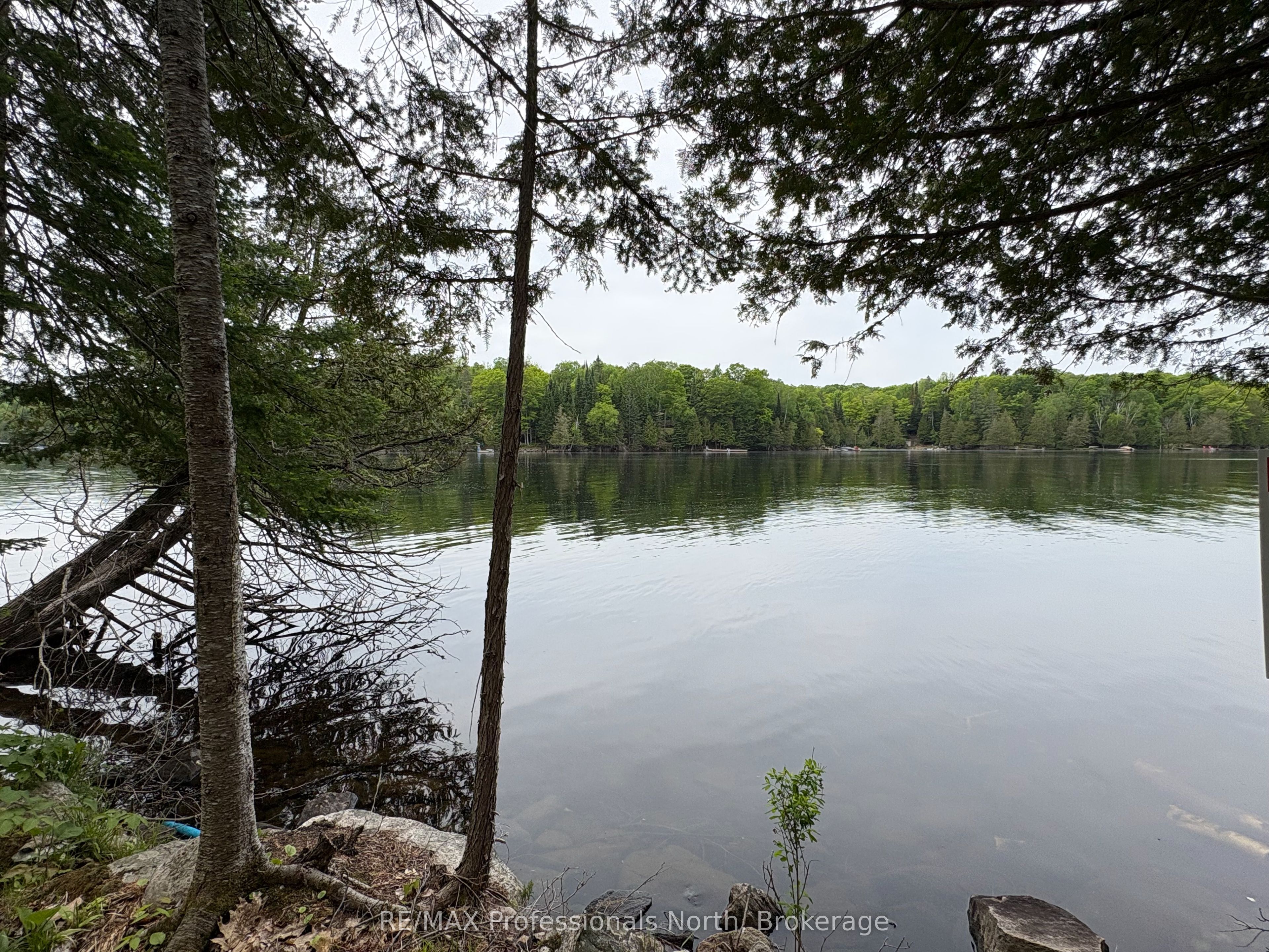 0 Poverty Bay Trail Property Photo 19