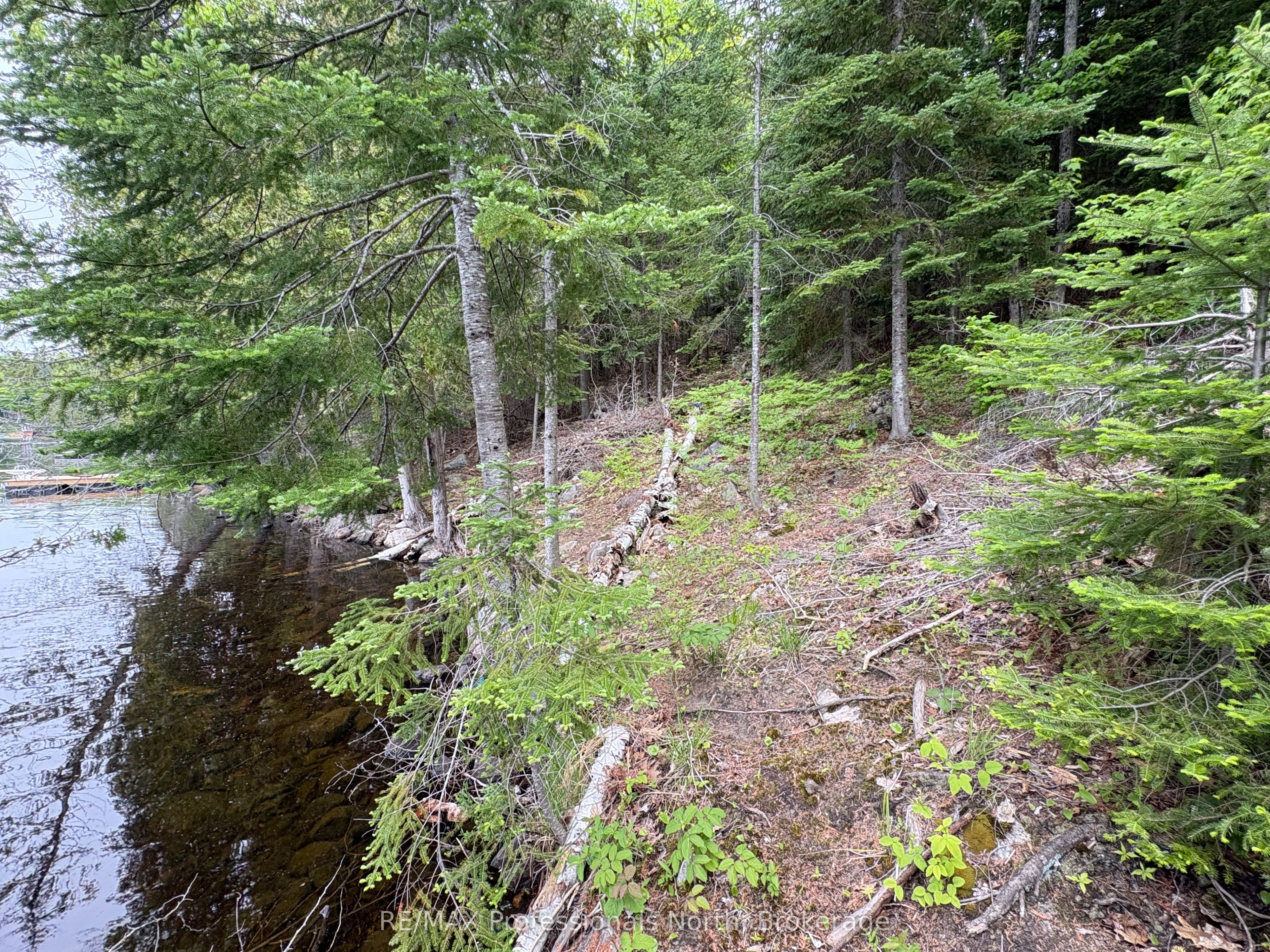 0 Poverty Bay Trail Property Photo 20