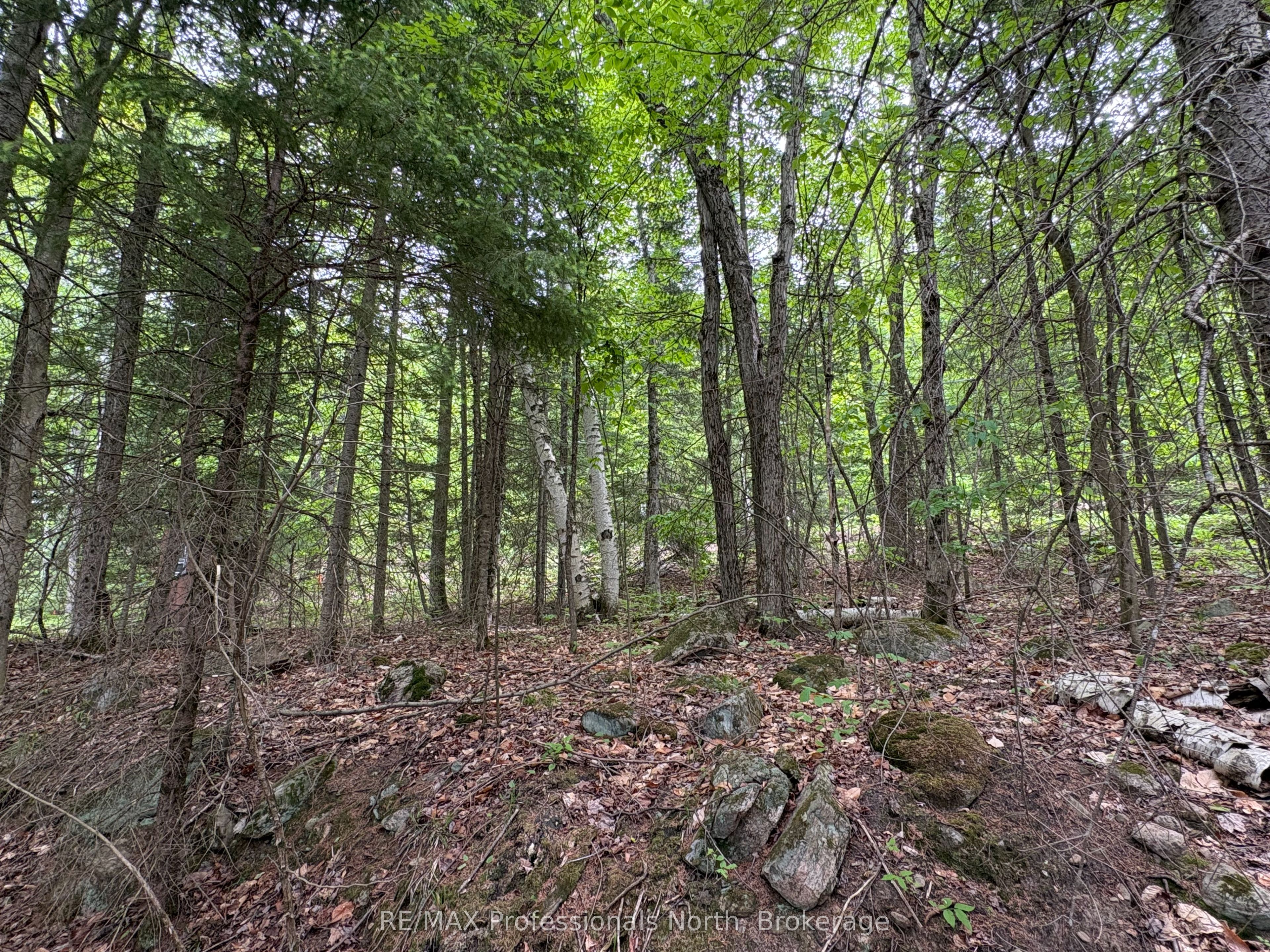 0 Poverty Bay Trail Property Photo 21