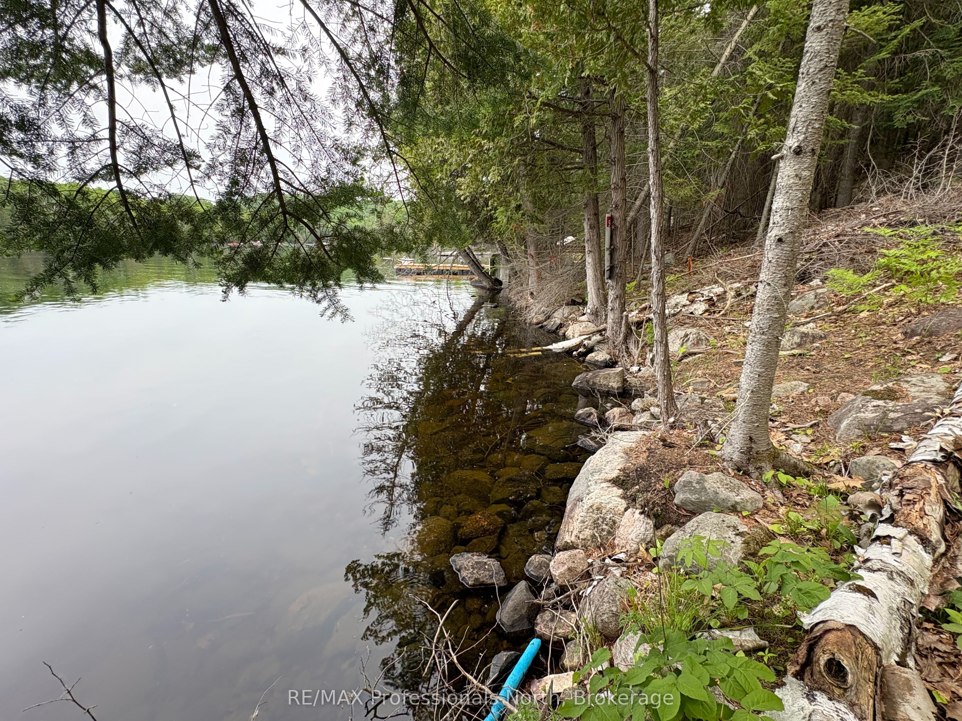 0 Poverty Bay Trail Property Photo 22