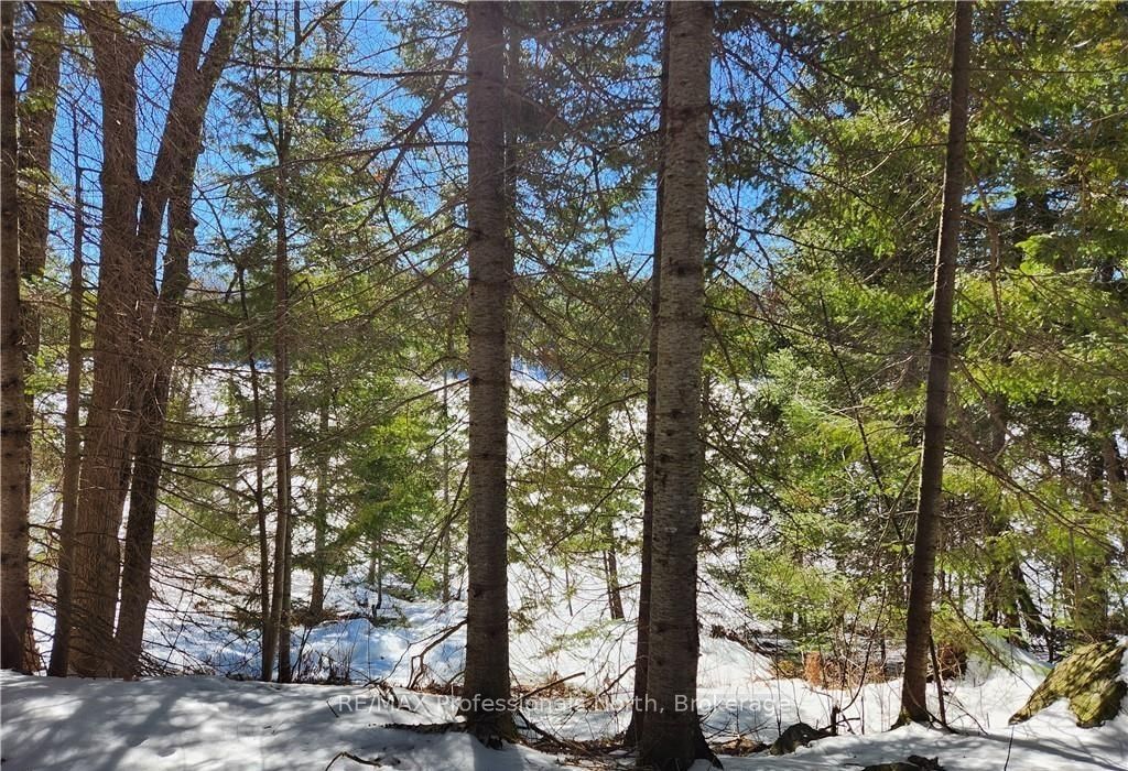 0 Poverty Bay Trail Property Photo 25