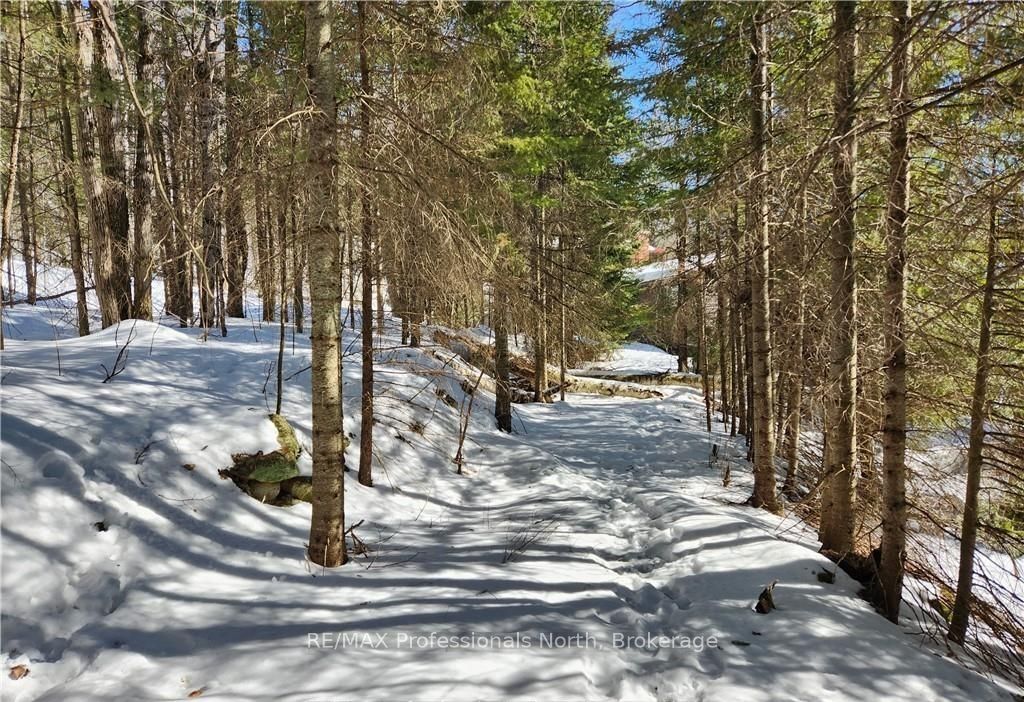 0 Poverty Bay Trail Property Photo 26
