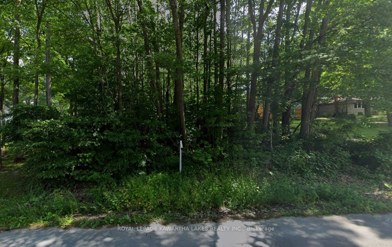 0 Poplar Drive Property Photo 3