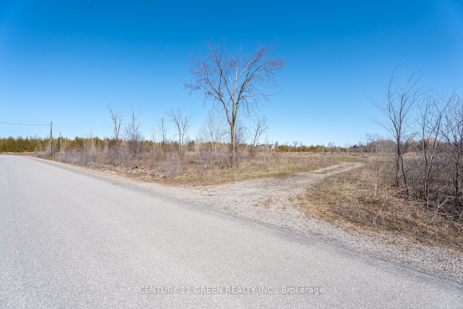 7901 Iveson Drive Property Photo 4