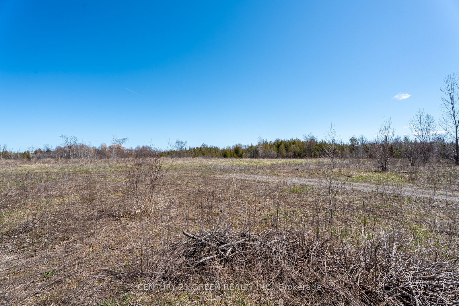 7901 Iveson Drive Property Photo 7