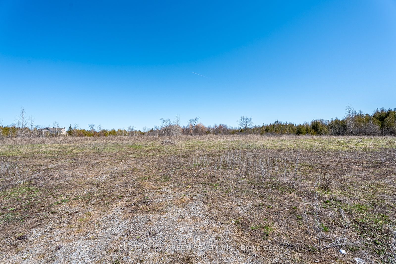 7901 Iveson Drive Property Photo 8