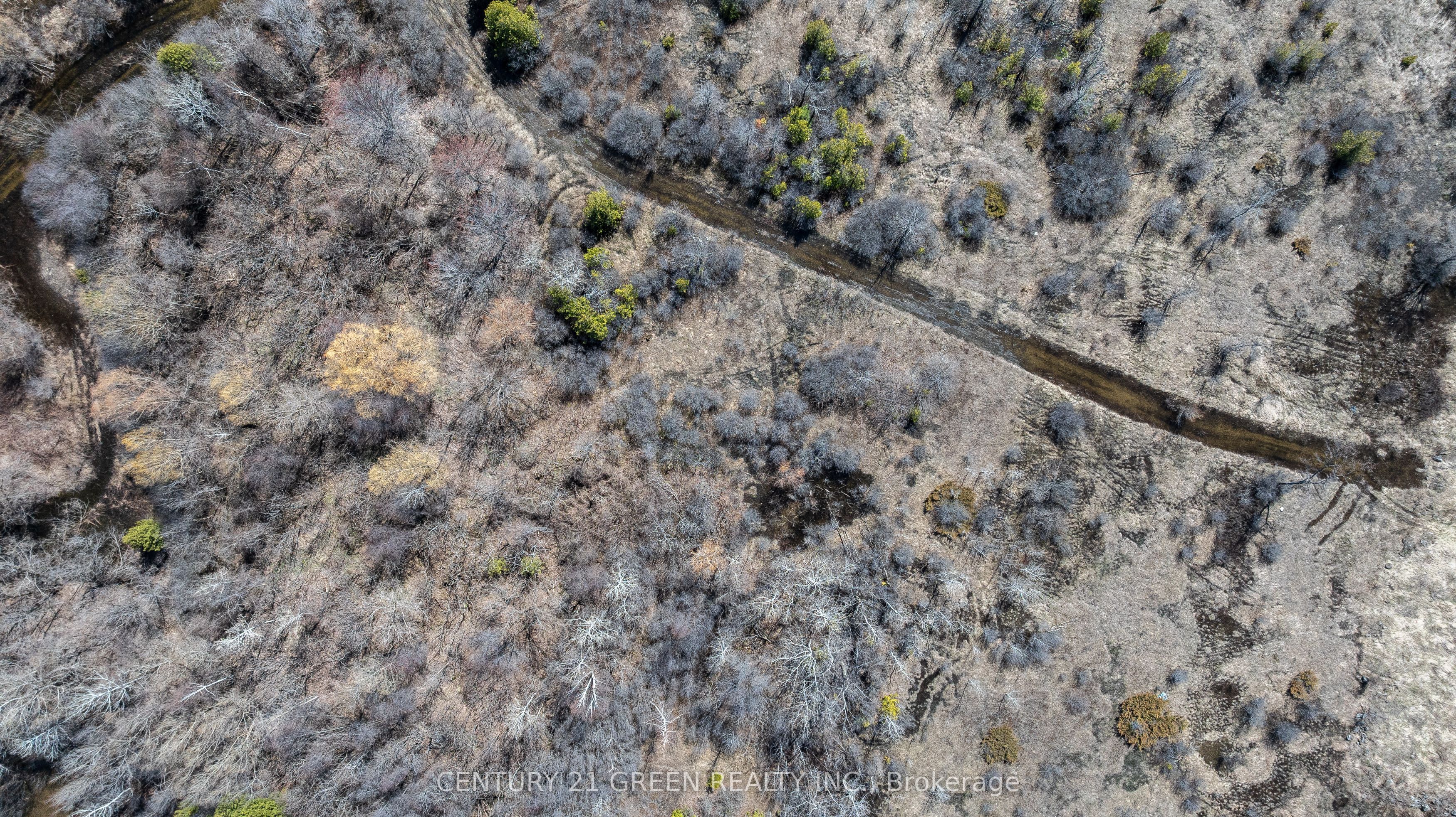 7901 Iveson Drive Property Photo 13