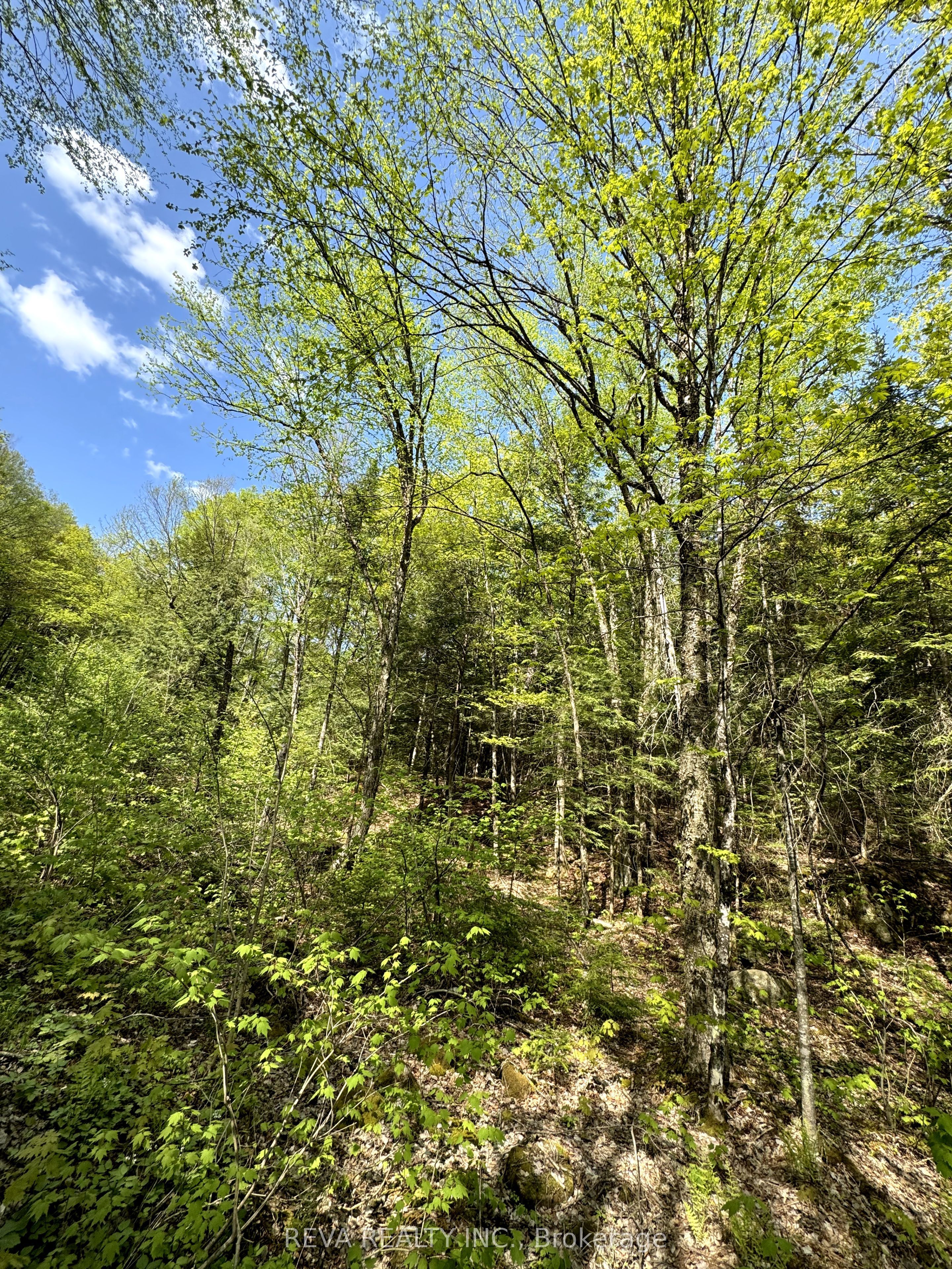 0 Salmon Trout Lake Road Property Photo 1