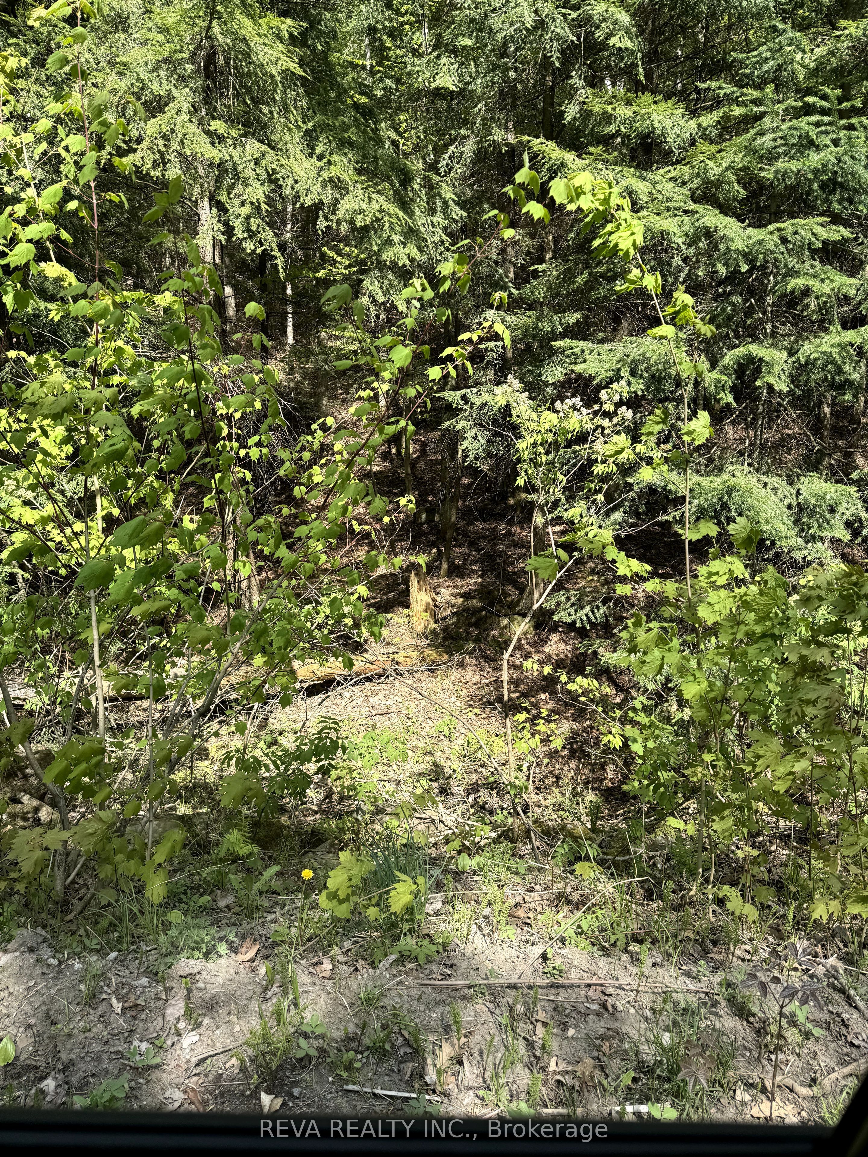 0 Salmon Trout Lake Road Property Photo 13