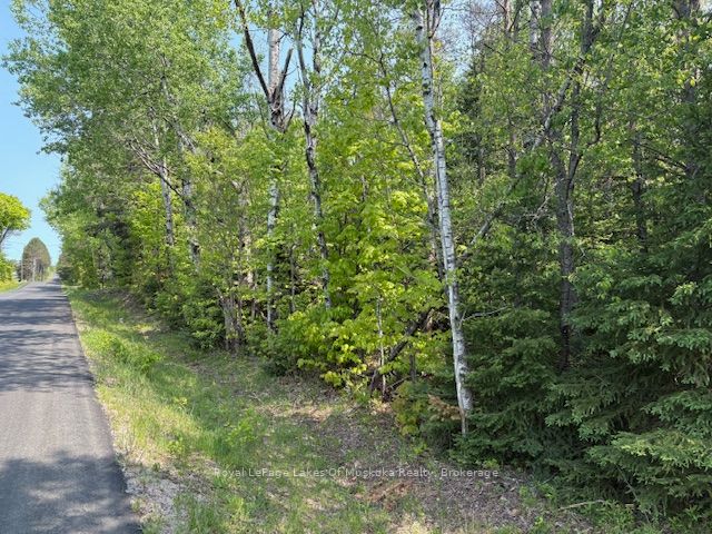 147 So Ho Mish Road Property Photo 1