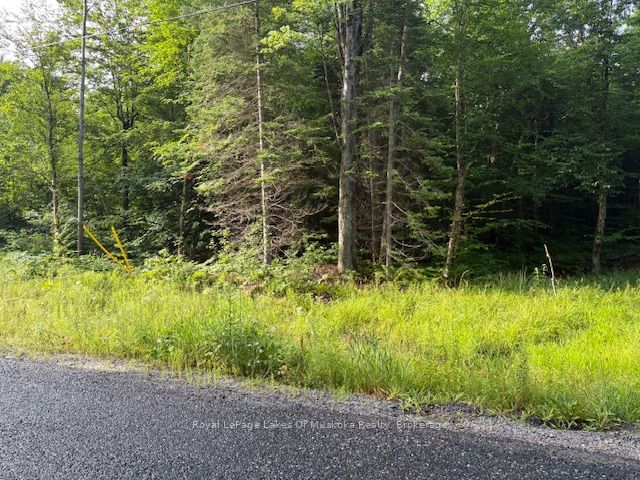 48 Summer Leigh Trail Property Photo 1