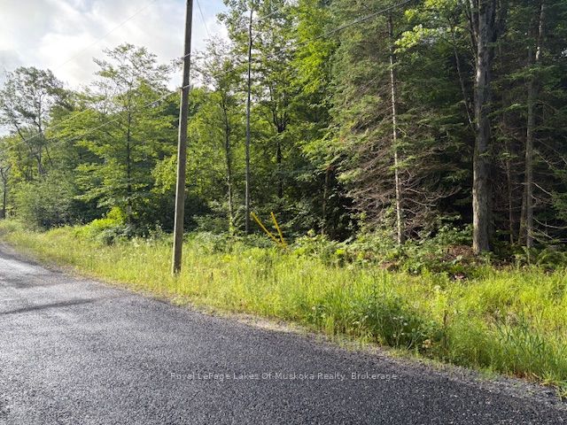 48 Summer Leigh Trail Property Photo 2