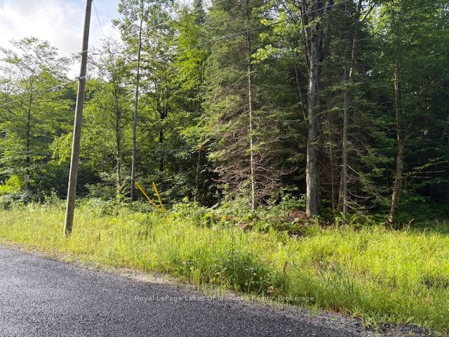 48 Summer Leigh Trail Property Photo 3