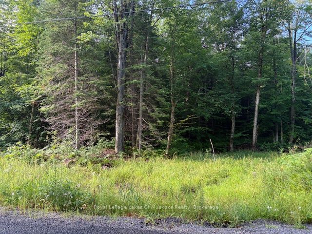 48 Summer Leigh Trail Property Photo 4