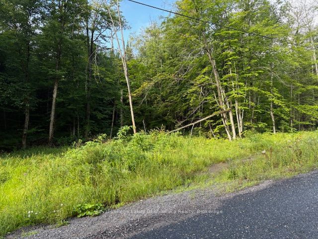 48 Summer Leigh Trail Property Photo 5