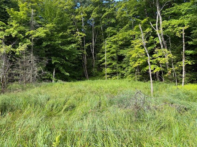 1788 Old Muskoka Road Property Photo 1