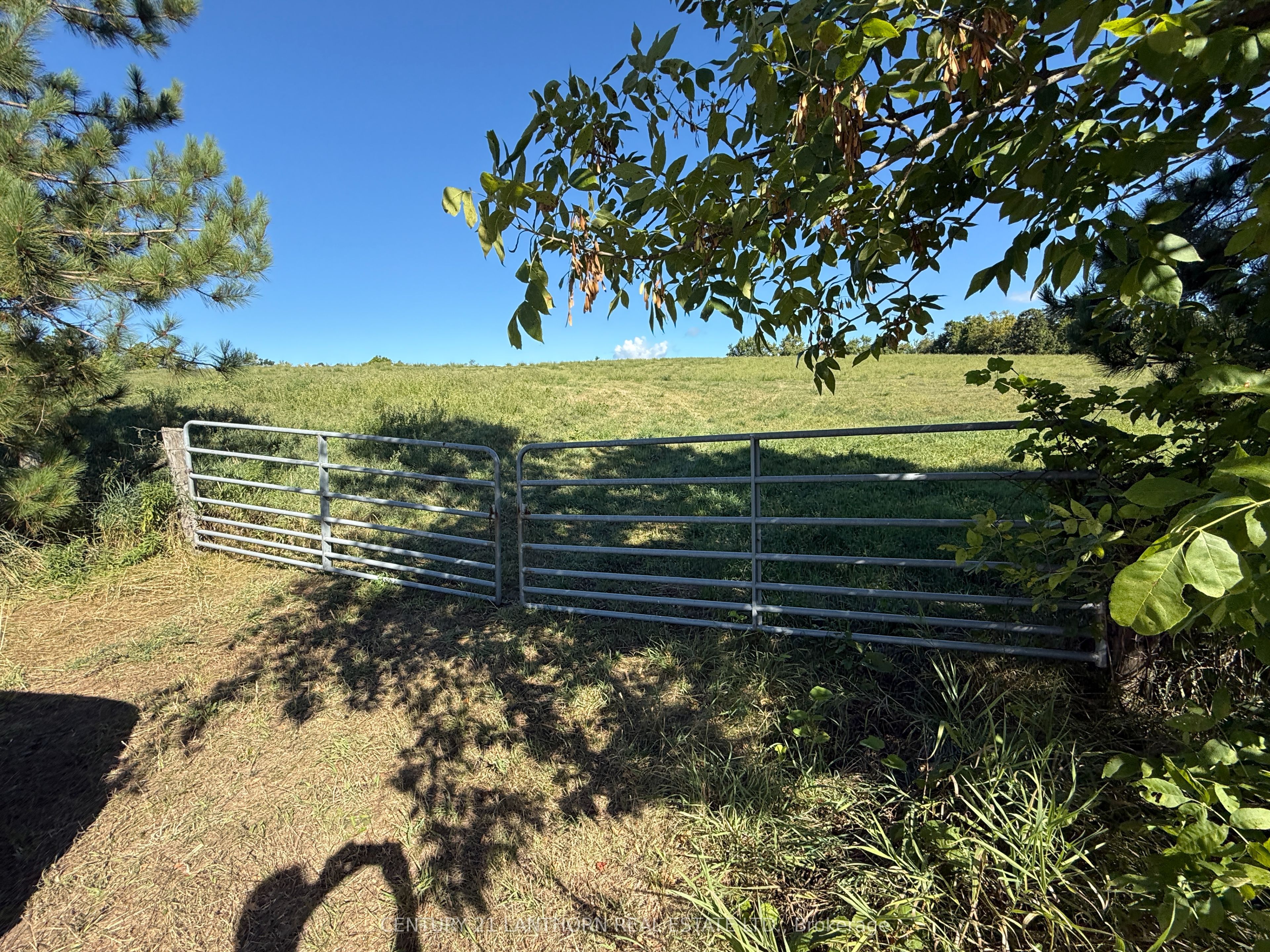 0 Deloro Road Property Photo 14