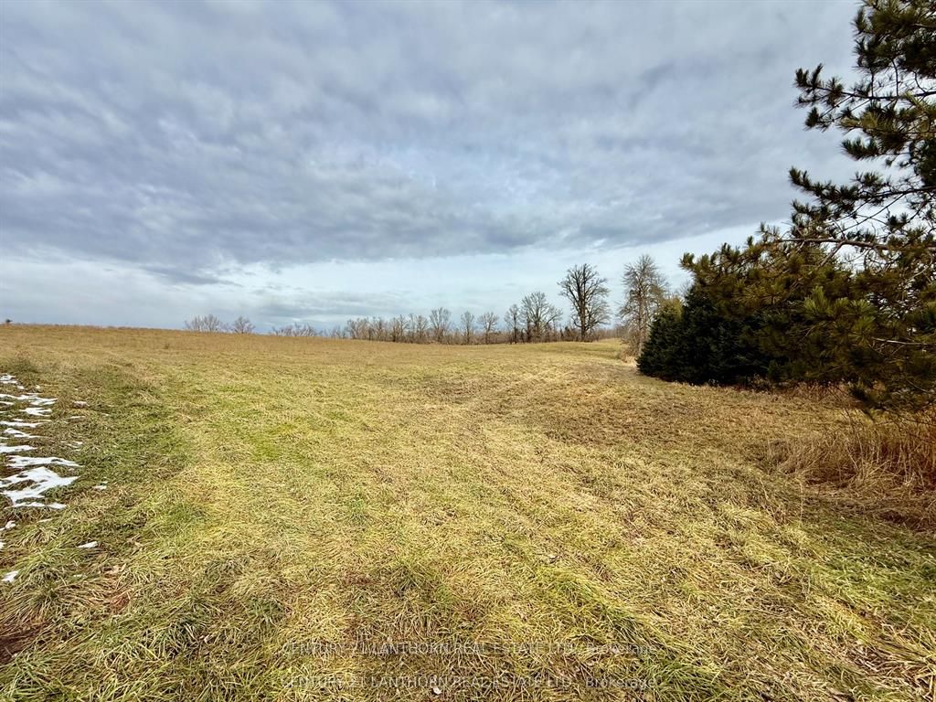 0 Deloro Road Property Photo 17