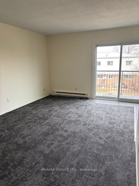 58 Elgin Street Property Photo 17
