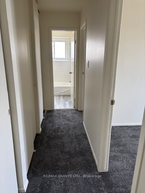 60 Elgin Street Property Photo 18