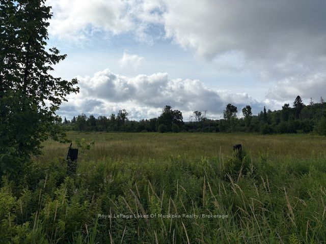 0 Old Muskoka To The West Side Of #1105 Road Property Photo 1