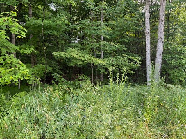 60 SUMMER LEIGH Trail Property Photo 1