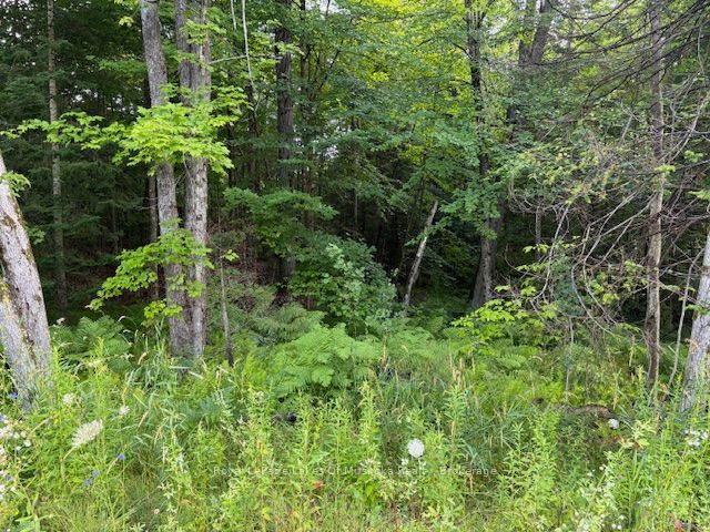 60 Summer Leigh Trail Property Photo 6