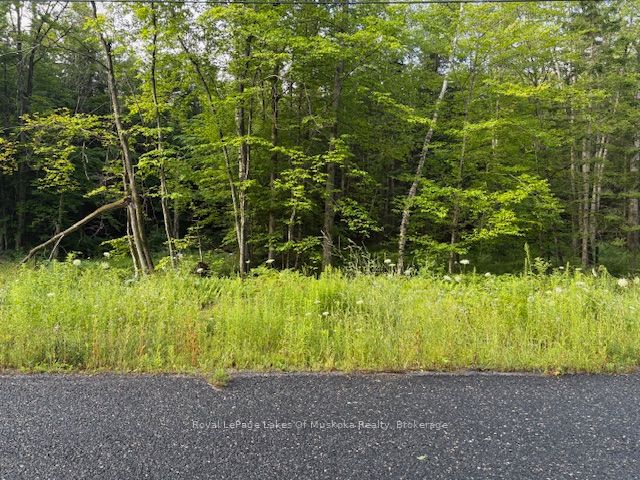 60 Summer Leigh Trail Property Photo 8