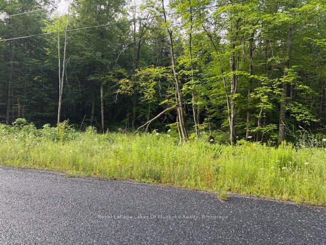 60 Summer Leigh Trail Property Photo 9