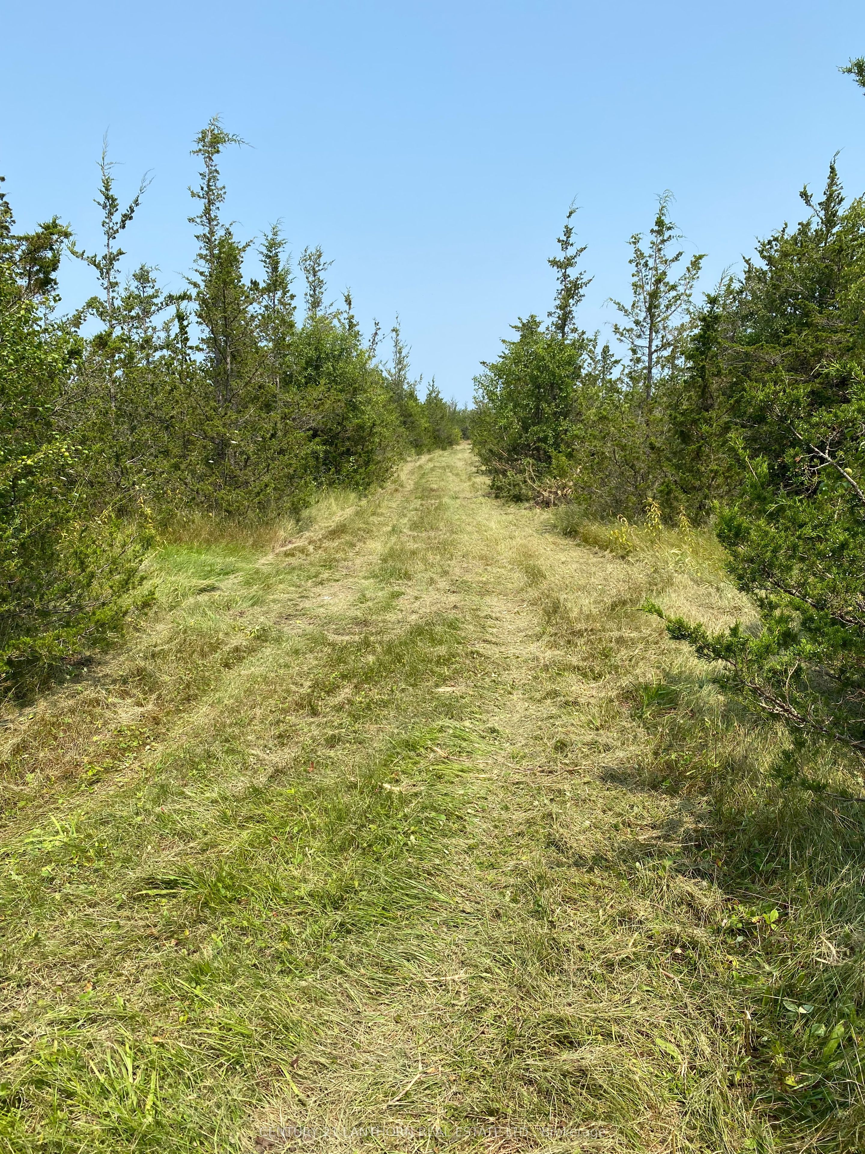 1677 County 8 Road Property Photo 37