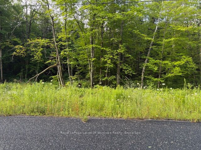 47 Summer Leigh Trail Property Photo 1