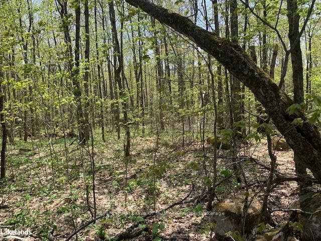 2376 South Horn Lake Road Property Photo 1