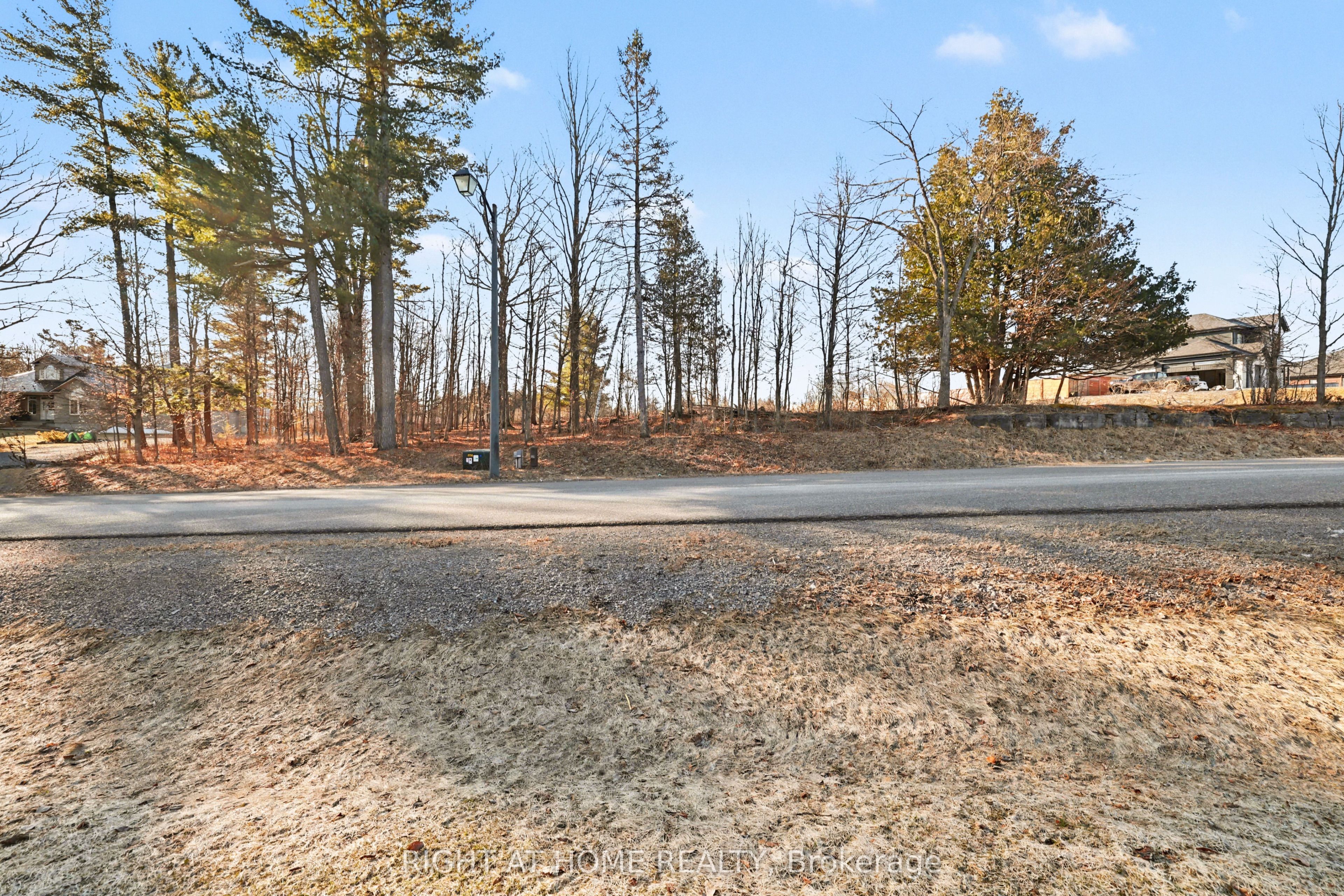 1041 Julia Court Property Photo 5