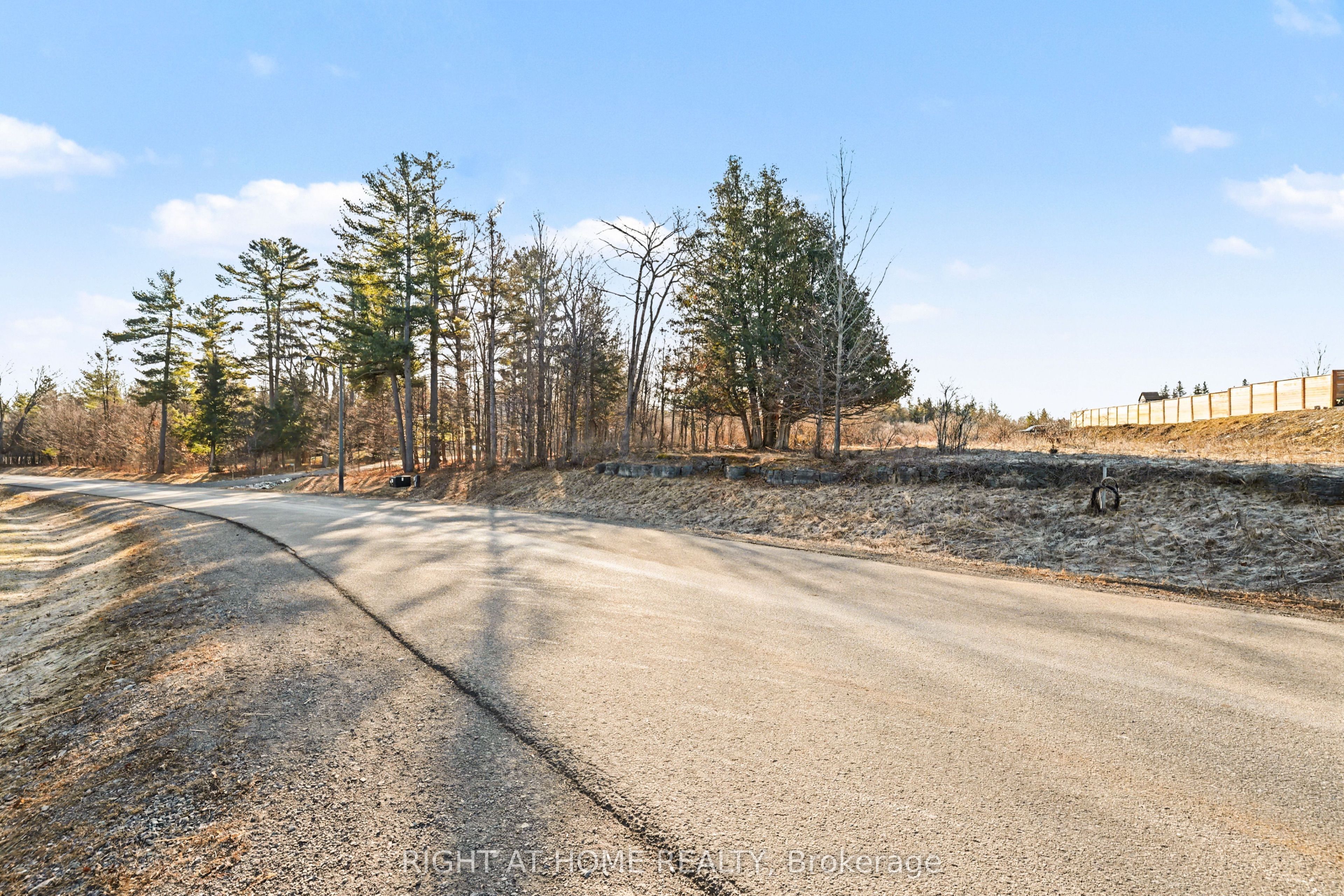1041 Julia Court Property Photo 6