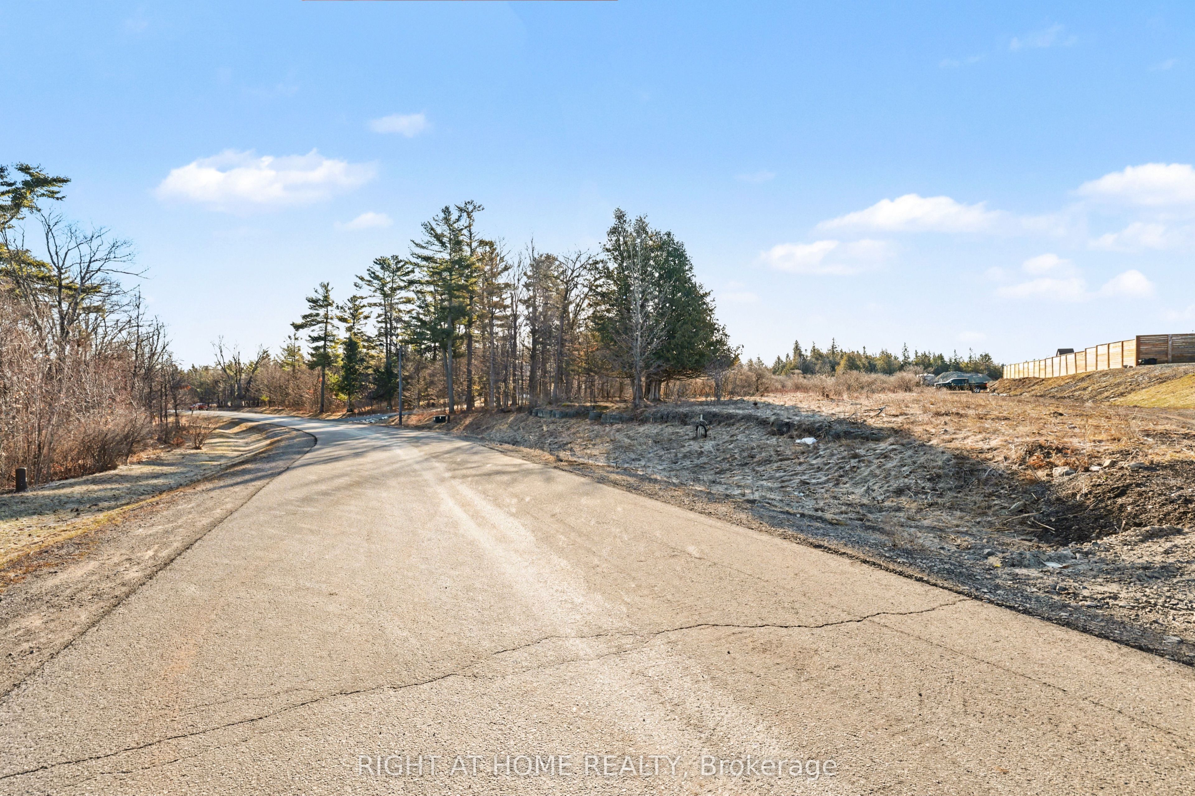 1041 Julia Court Property Photo 7