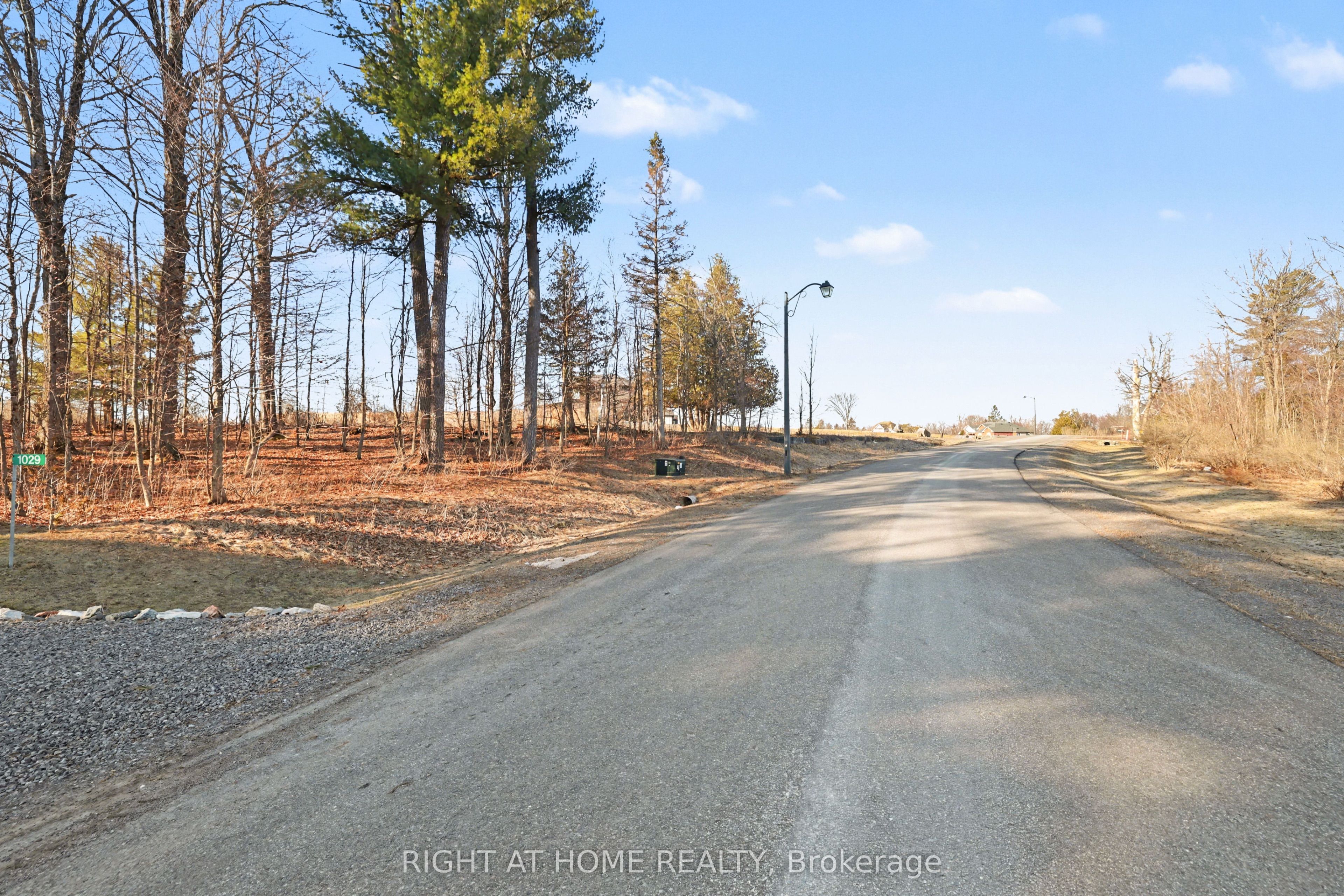 1041 Julia Court Property Photo 8