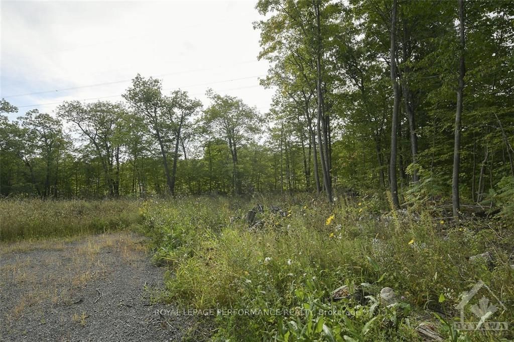 1310 Cumberland Ridge Drive Property Photo 1